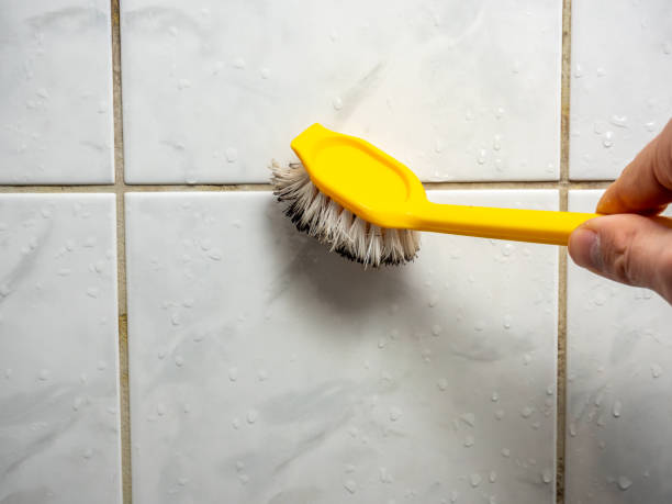 Best Post-Flood Mold Remediation in San Rlos, CA
