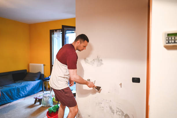 Best HVAC Mold Remediation in San Rlos, CA
